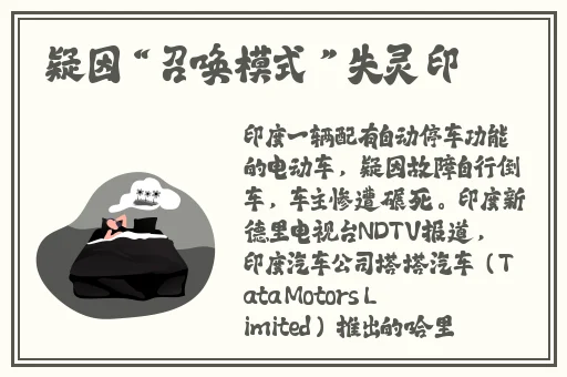 看见小兔子